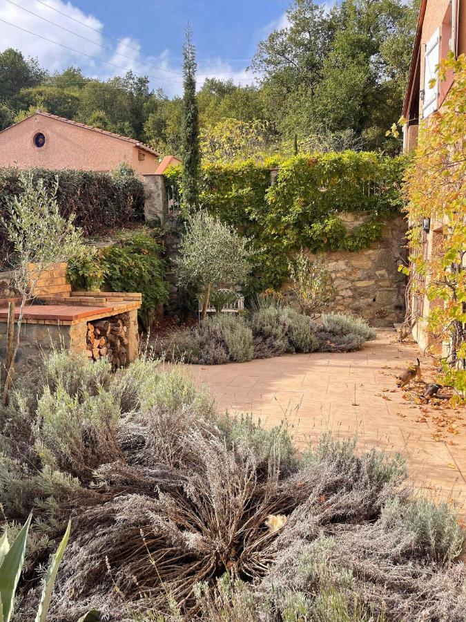Appartement Et Studio Les Glycines Clara Dış mekan fotoğraf